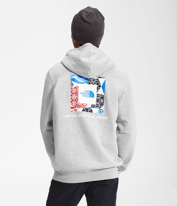 The North Face Hoodie Heren Box Nse Pullover MTJY96784 - Lichtgrijs